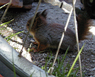 P5100003.jpg